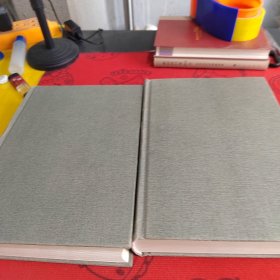 皮亞杰文集第八卷（上下）