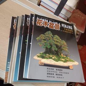 花木盆景(2018，3，5，6，7，8，9，11共7本合售