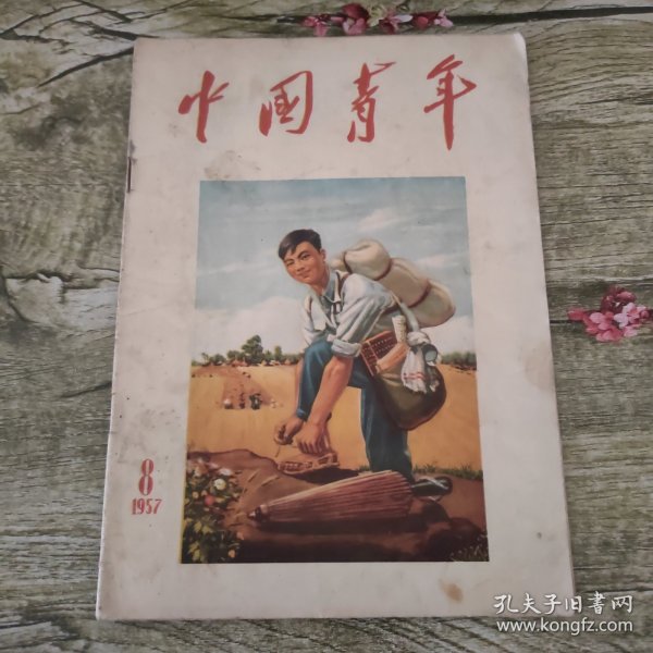 中国青年1957年 第8期