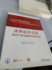 法律适用方法 知识产权法案例分析方法