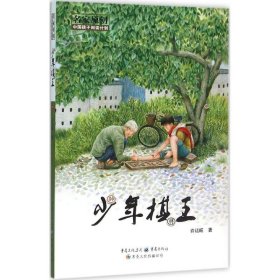 正版书中国孩子阅读计划名家原创:少年棋王