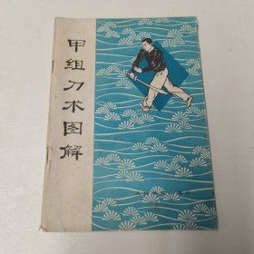 甲组刀术图解