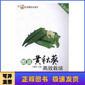 图说黄秋葵高效栽培:全彩版