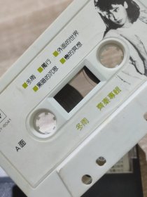 磁带 冬雨 齐秦 带歌词