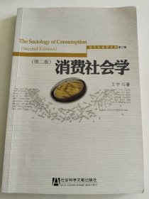 消费社会学