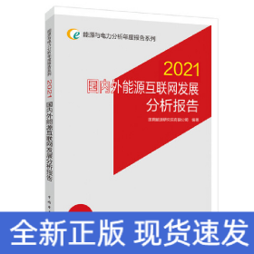 能源与电力分析年度报告系列 2021 国内外能源互联网发展分析报告