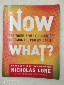 Now What?: The Young Person's Guide to Choosing the Perfect Career