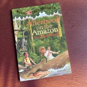 Afternoon on the Amazon 神奇树屋系列6：亚马逊的下午 英文原版