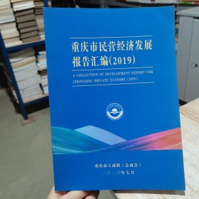 重庆市民营经济发展报告汇编2019