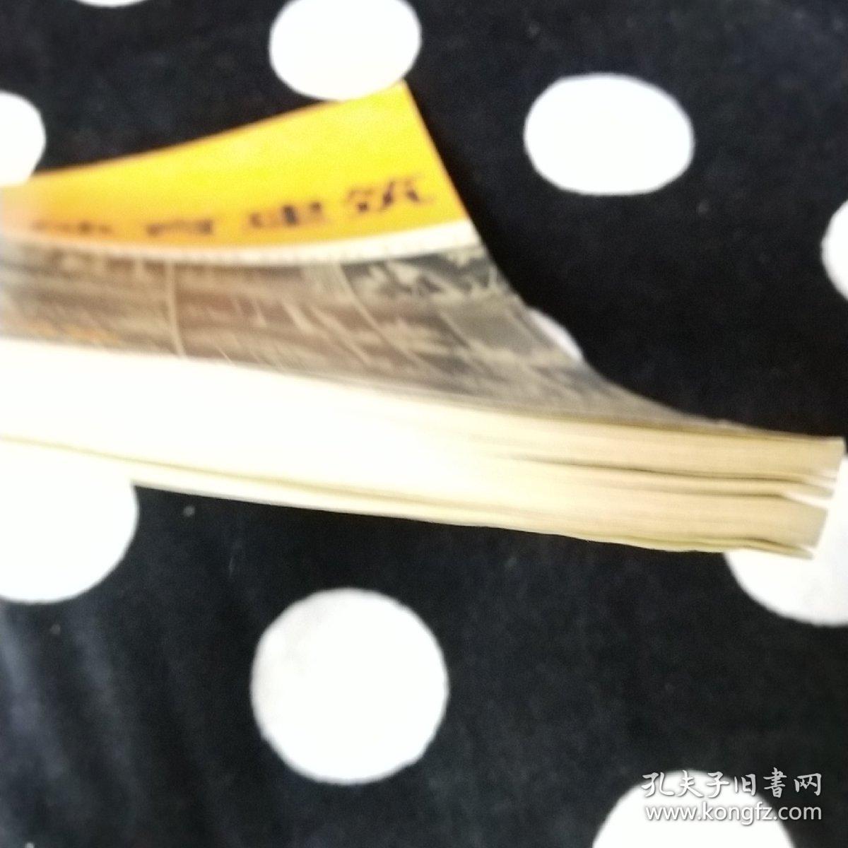 体育建筑