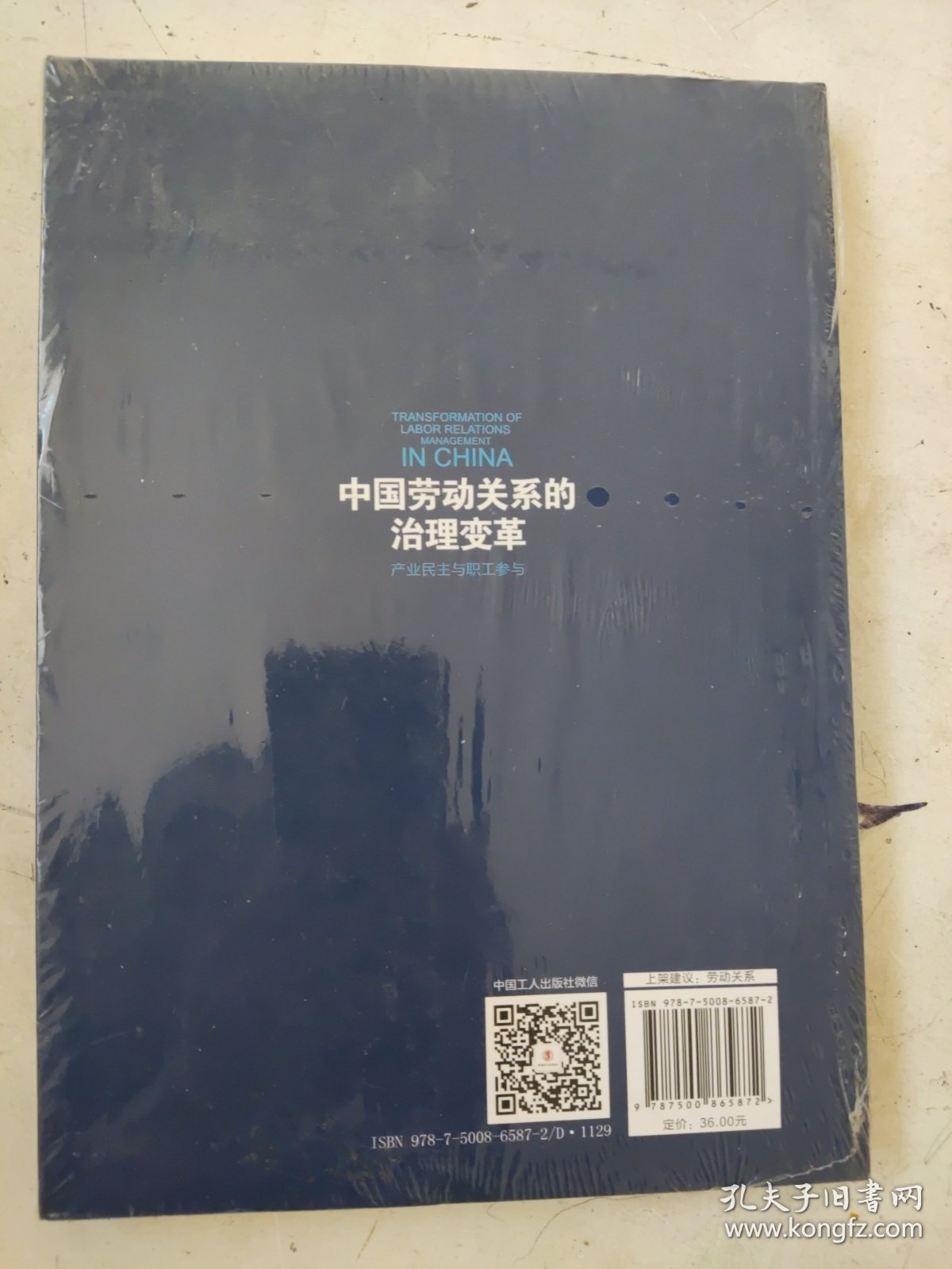 中国劳动关系的治理变革 产业民主与职工参与/构建和谐劳动关系理论研究丛书