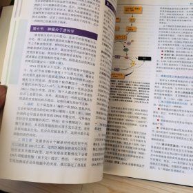 鲁宾病理学精要（中文翻译版 原书第6版）