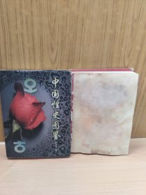 中国性史图鉴，上下