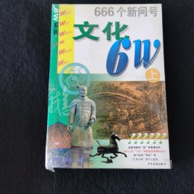 文化6W:666个新问号