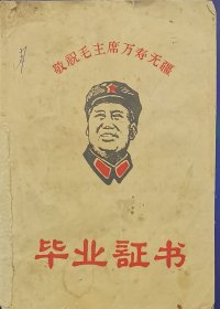 特殊年代的毕业证六页
