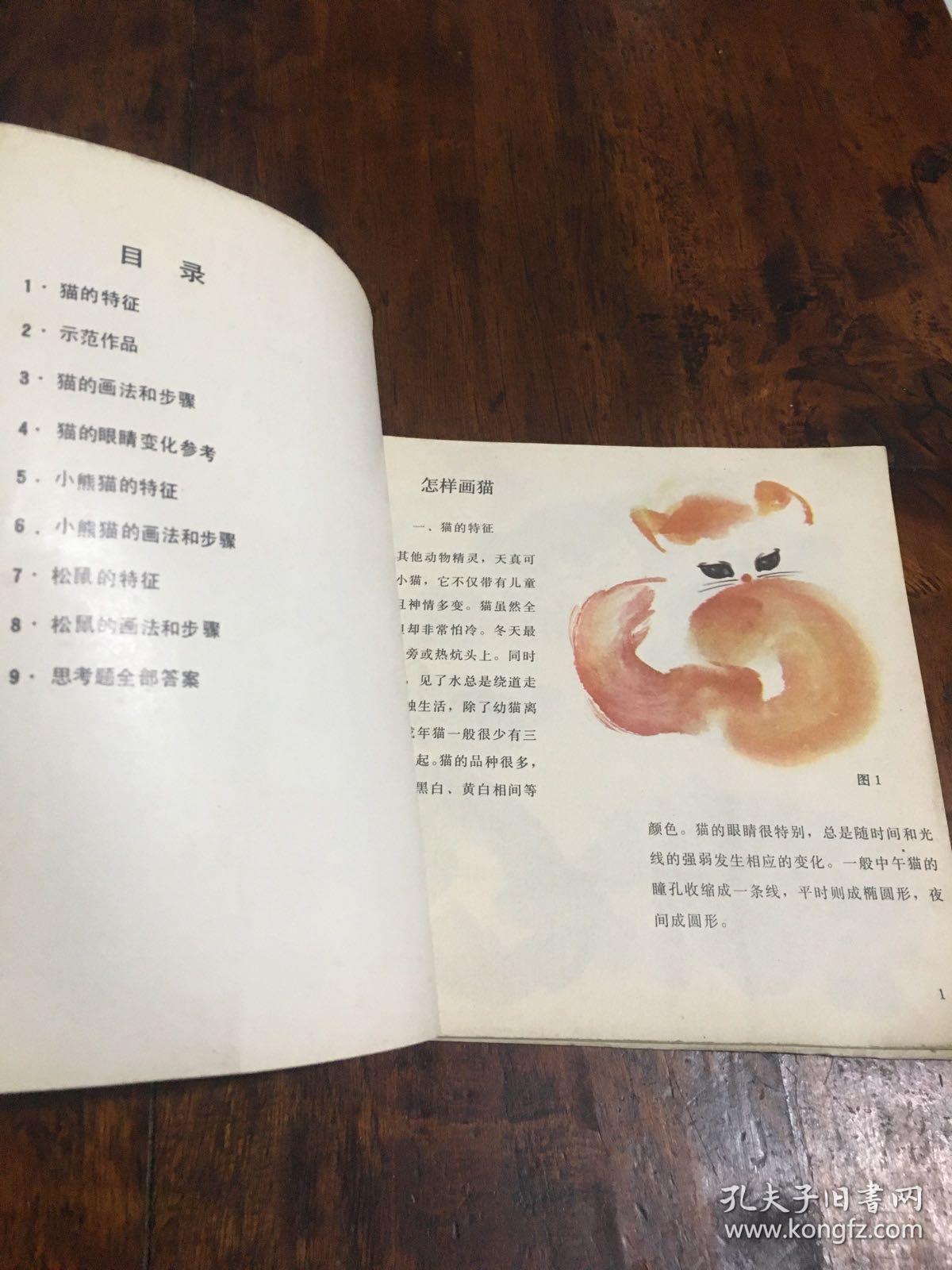 怎样画猫、小熊猫、松鼠