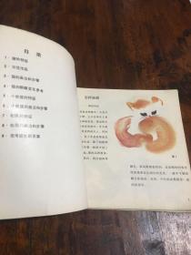 怎样画猫、小熊猫、松鼠