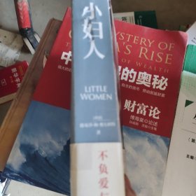 小妇人（电影原著珍藏本，未删减·口碑译本）