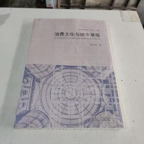 消费文化与城市景观/景观研究丛书(在246号)