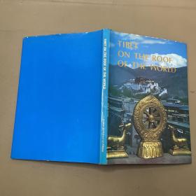 世界屋脊上的西藏 世界语