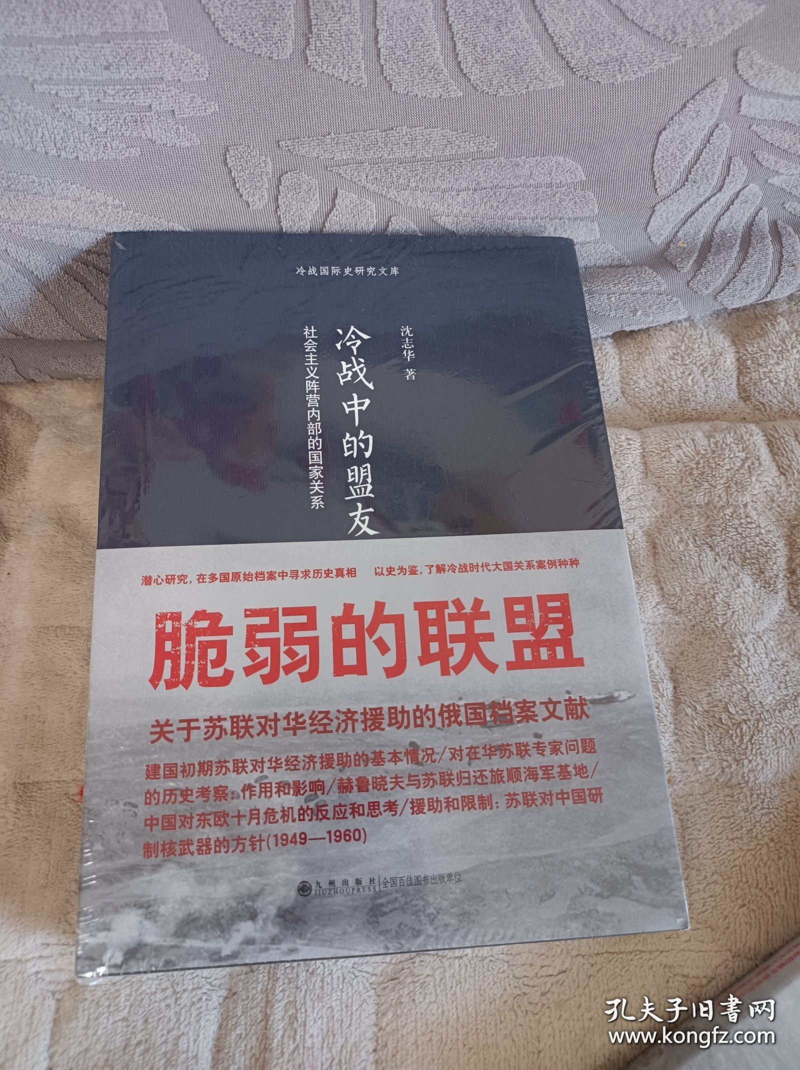 冷战中的盟友：社会主义阵营内部的国家关系