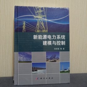 新能源电力系统建模与控制