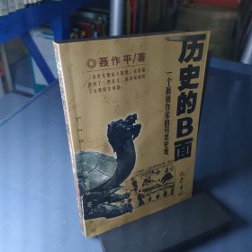 历史的B面：一个新锐作家的另类史观