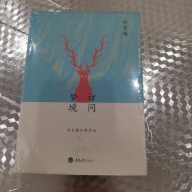 访问梦境