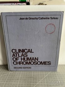 人类染色体临床图谱（第二版）