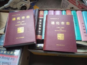 通化市志 1986—2005 上下册