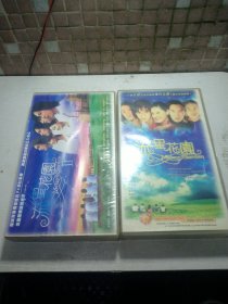 VCD. 流星花园1. 2。盒装完整版。