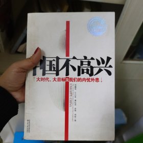 中国不高兴：大时代大目标及我们的内忧外患