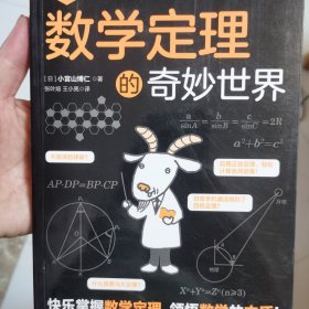 数学定理的奇妙世界