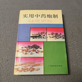 实用中药炮制
