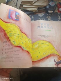 “数学小子”丛书：贪心的三角形、意大利面条和肉丸子盛宴、国王的超级特派员、梦想家的披风、阿曼达的疯狂大梦 共5本合售