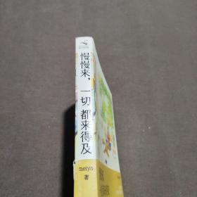 慢慢来，一切都来得及：畅销50万册纪念版，全新修订新增3万字。