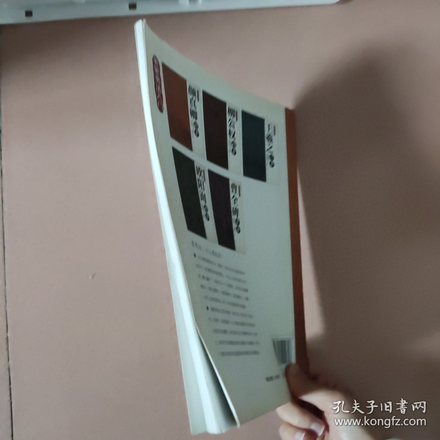 毛笔书法入门：颜真卿楷书