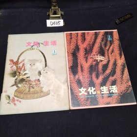 文化与生活1980年1.3两期合售