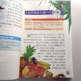 中国少儿百科全书《百变昆虫》