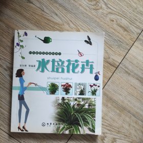 水培花卉
