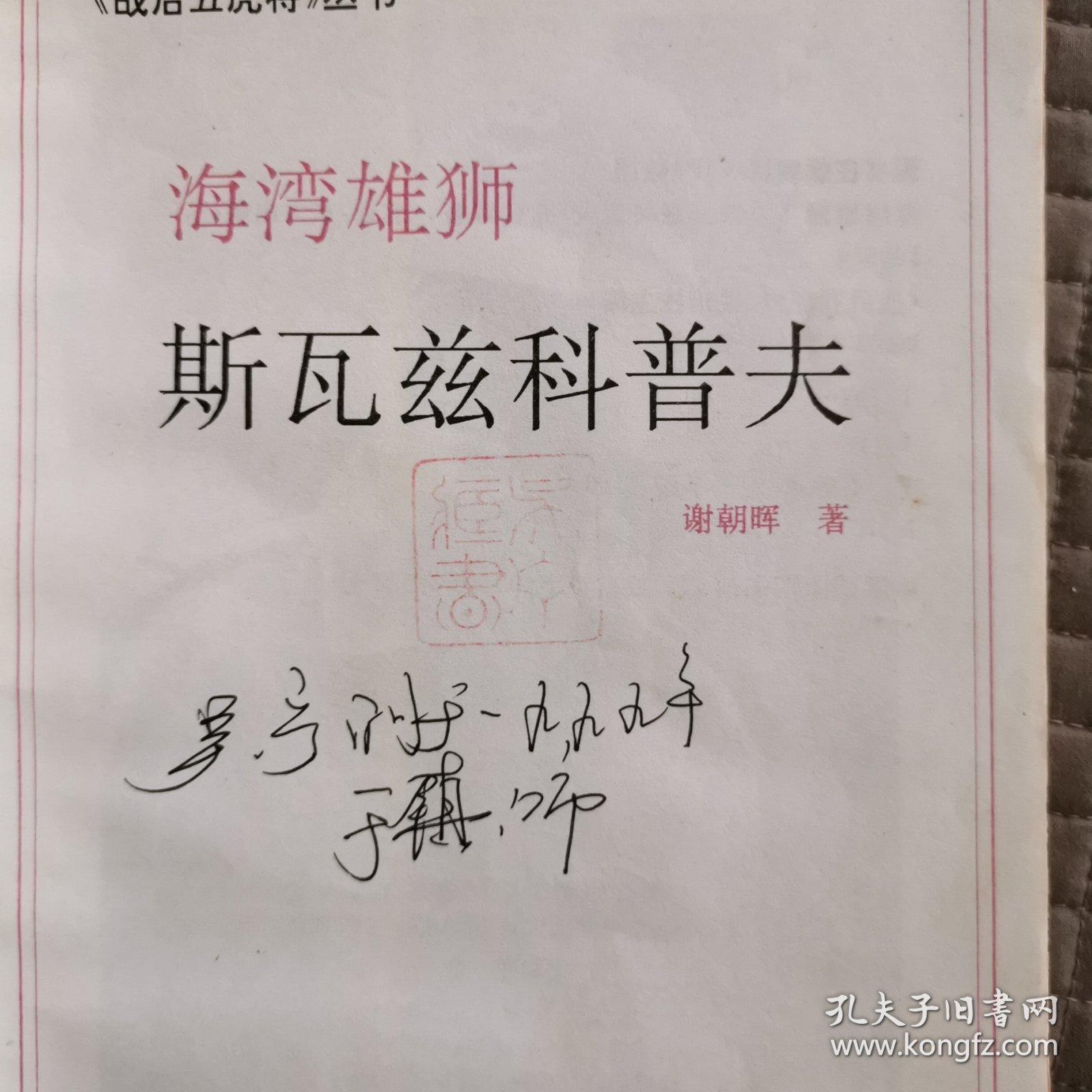 海湾雄狮 斯瓦兹科普夫