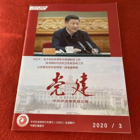 党建2020年第3期