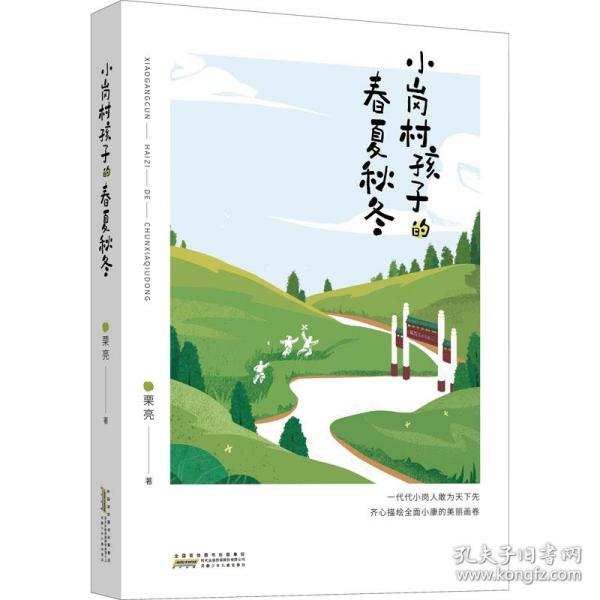 小岗村孩子的春夏秋冬:以小岗孩子成长经历真实纪录全面小康工程取得的伟大成就