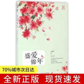 盛愛錦年