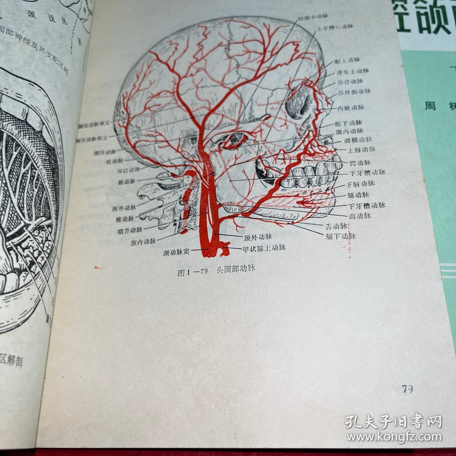 口腔颌面外科学 上下