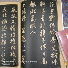 中国历代名家名帖经典：明 唐寅行书落花诗卷