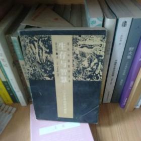 生存与智慧:庄子哲学的现代阐释(有藏书印，部分划线字迹，不影响阅读)