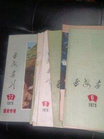 延安画刊1975/1.4-12.23，合售十一本