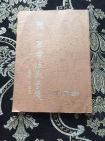 陈小康书法教学展作品集