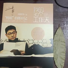 我的30个工作天   桃姐拍摄日记   刘德华  附海报（私藏书    实物拍照）